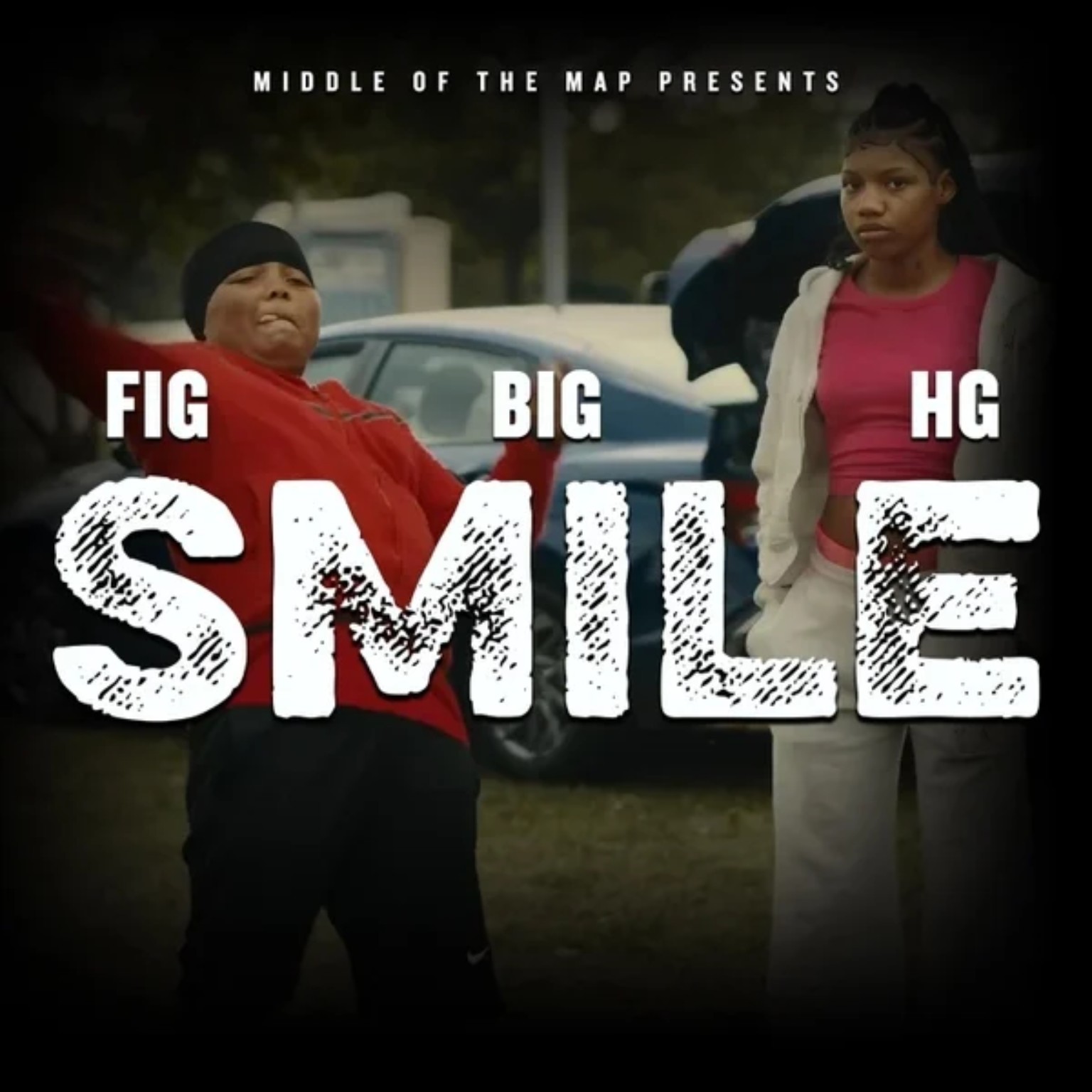 Fig & Big original artwork